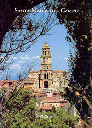 Libro sobre Santa Mar&iacute;a del Campo