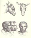 Bocetos del 'Burroman'